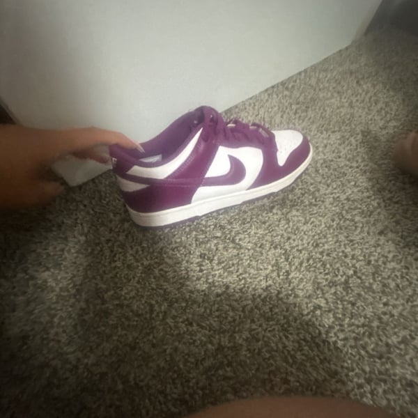 Nike Dunk Low Viotech White Purple Sneakers