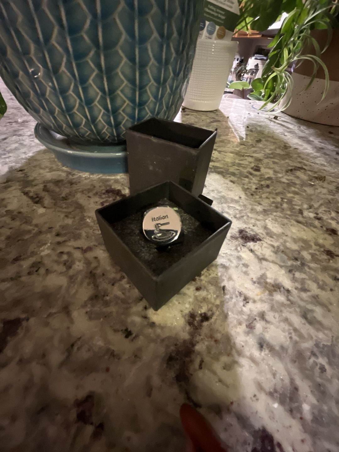 Food Decision Dice Stainless Steel Food Choice Die 1