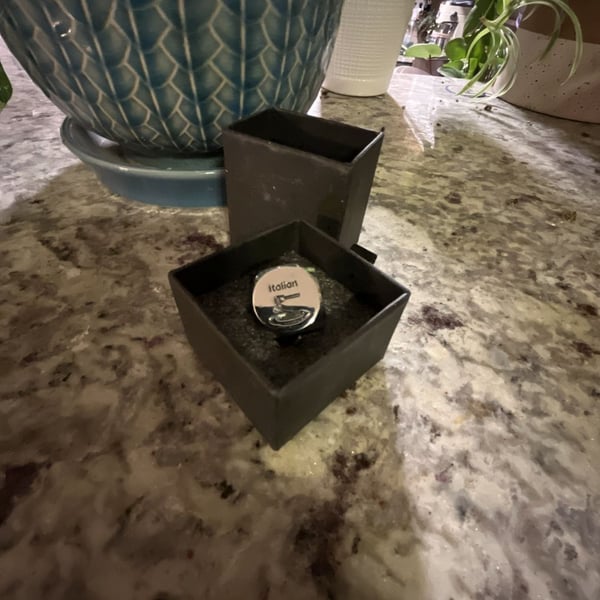 Food Decision Dice Stainless Steel Food Choice Die