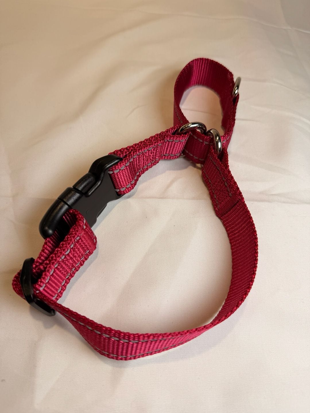 Reflective Nylon Dog Collar Red Adjustable 4