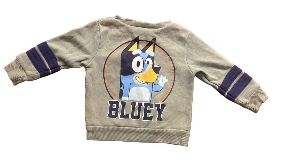 Bluey 2-Piece Sweatshirt & Joggers Set Size 2T Green 4