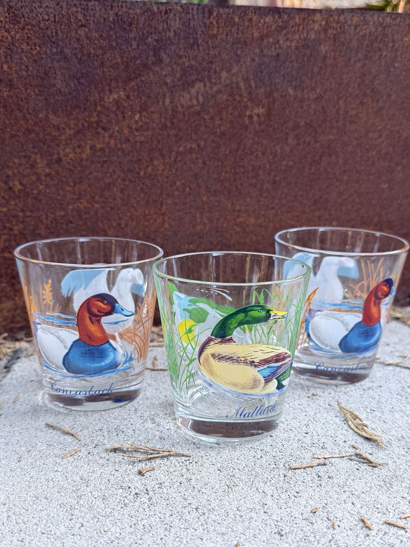 Vintage Ned Smith Waterfowl Duck Lowball Glasses Set of 4 1