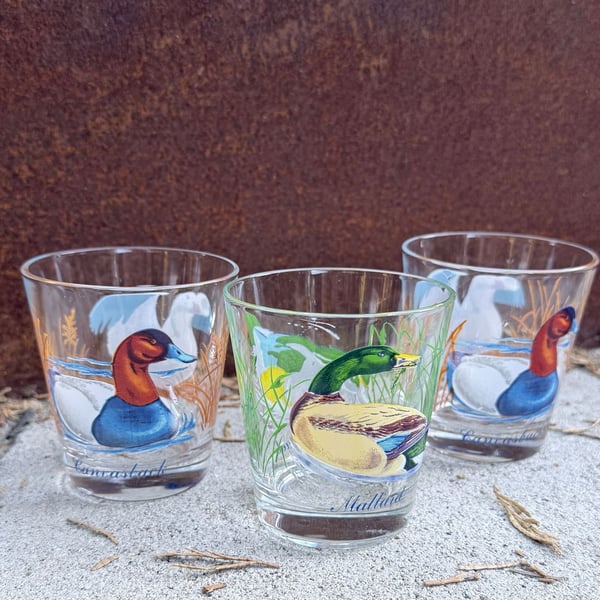 Vintage Ned Smith Waterfowl Duck Lowball Glasses Set of 4