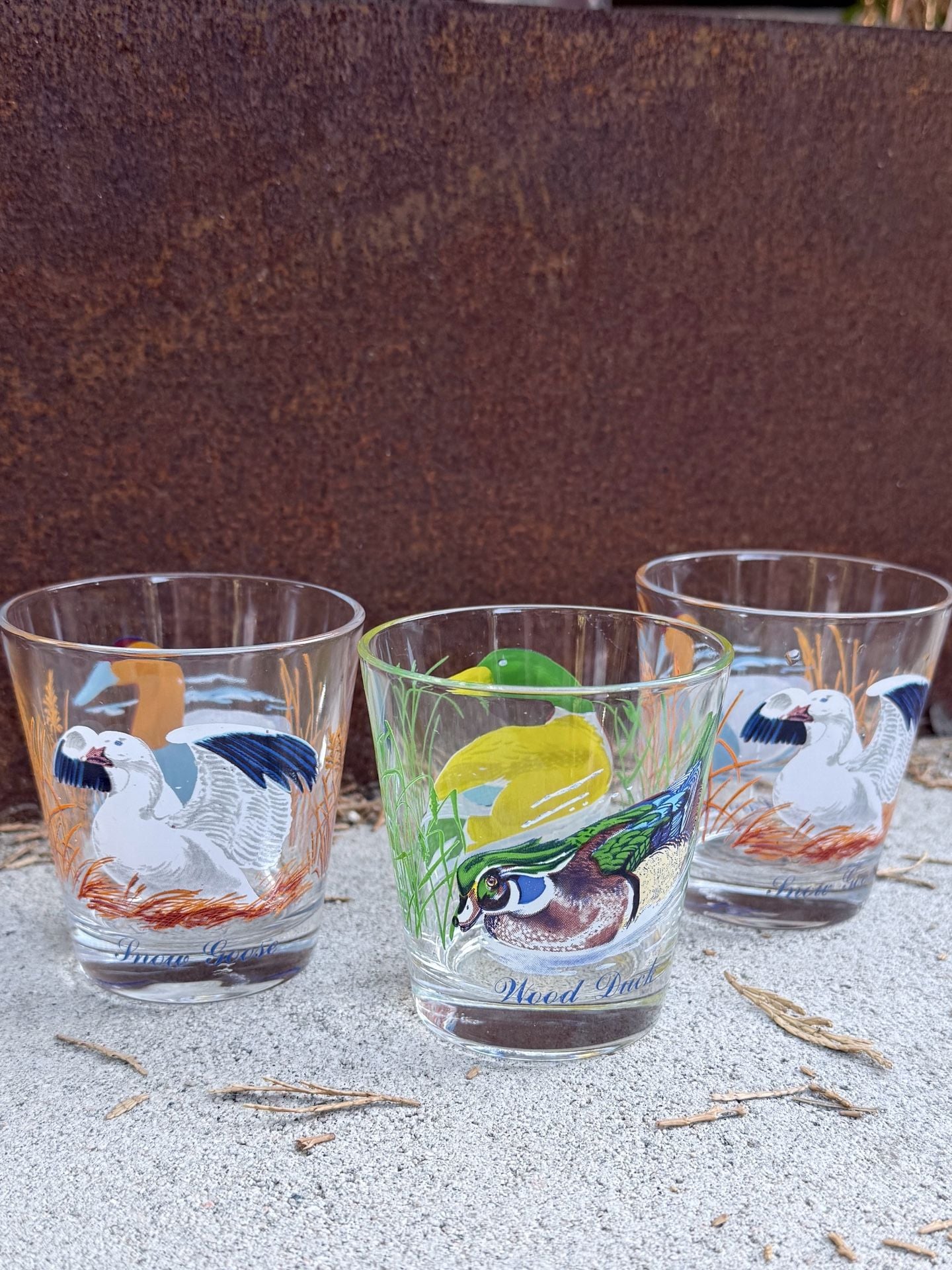 Vintage Ned Smith Waterfowl Duck Lowball Glasses Set of 4 2