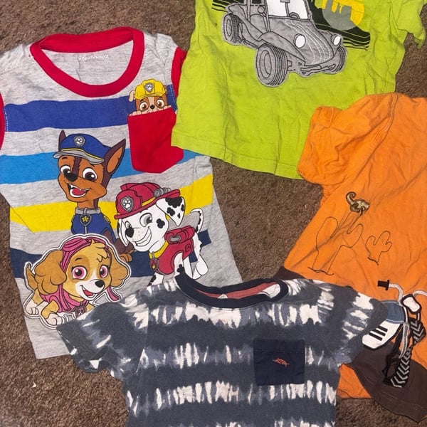 Boys Assorted Short Sleeve T-Shirt Lot 2T