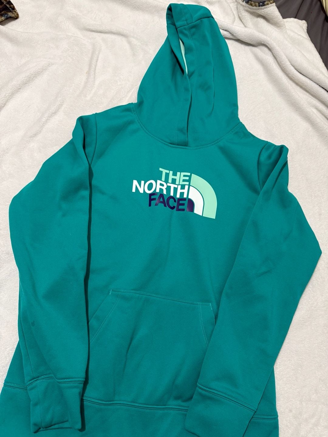 The North Face Half Dome Pullover Hoodie Teal Green 2