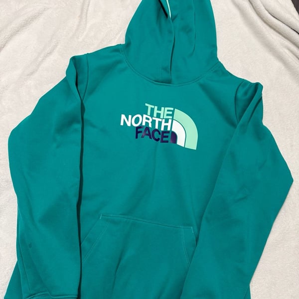 The North Face Half Dome Pullover Hoodie Teal Green