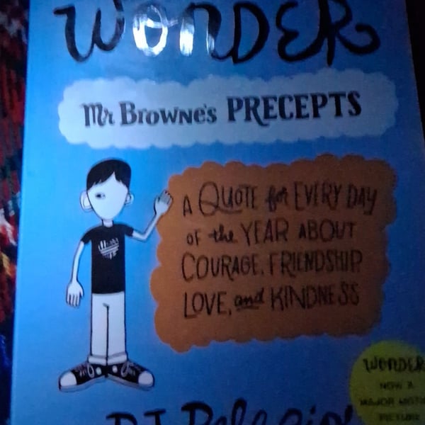 365 Days of Wonder Mr Browne's Precepts by R.J. Palacio Book