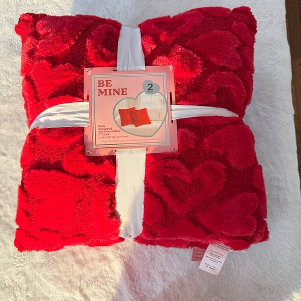 Be Mine Textured Fur Decorative Pillows Size 20x20 Red 2-Pack
