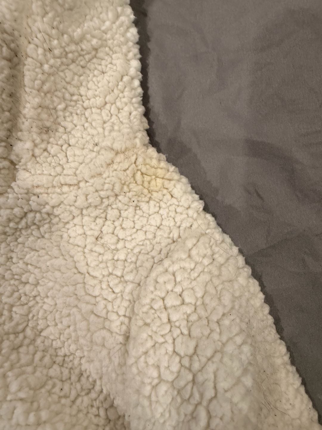 Just One You Made By Carter's Fleece Hoodie Size 12M Ivory Sherpa 3