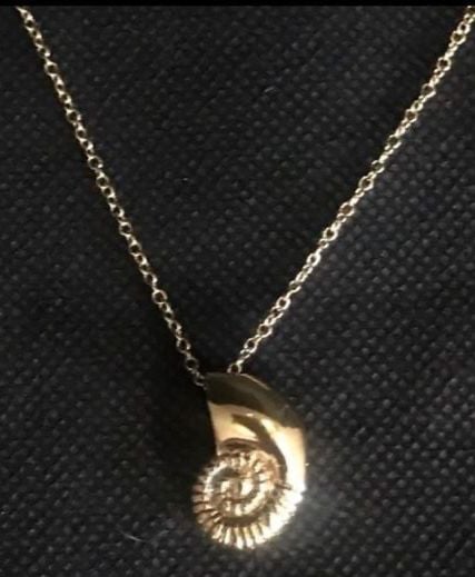 Ariel’s Gold Shell Necklace 1
