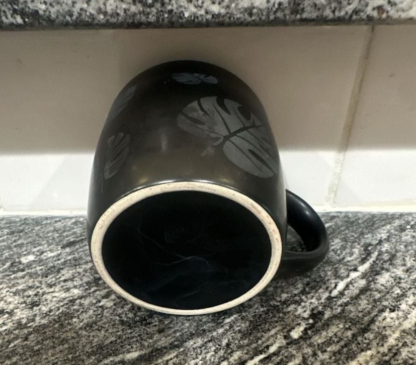 Souvenir Riviera Maya Mexico Coffee Mug Black Blue Monstera Leaves 4