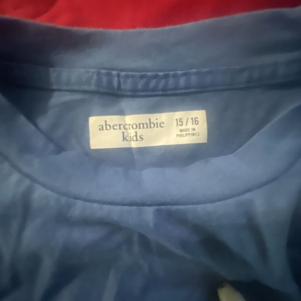 Abercrombie Kids T-Shirt Size 15/16 Blue Moose Logo Short Sleeve