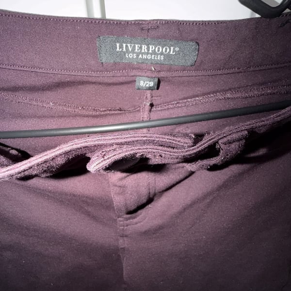 Liverpool Los Angeles Skinny Pants Size 8/29 Aubergine Purple Stretch