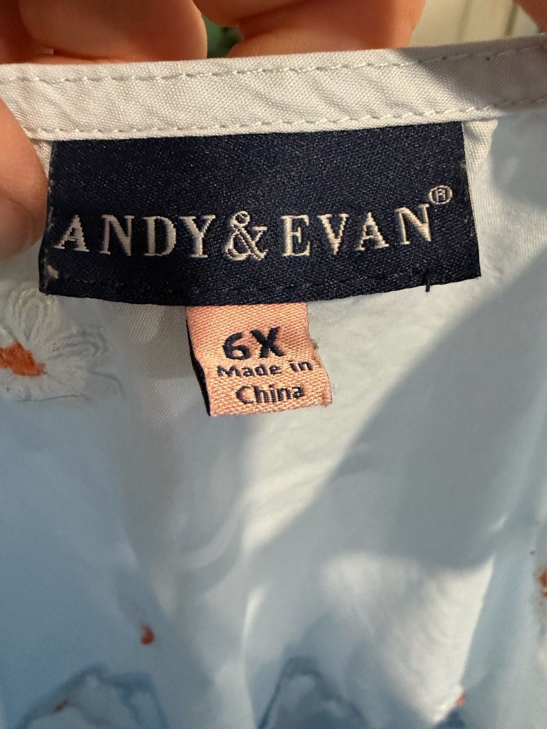 Andy & Evan Dress Size 6X Light Blue Daisy Embroidered 5