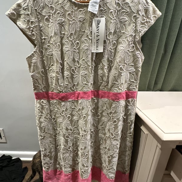 Danny & Nicole Lace Dress Size 16 Beige Pink Floral Short Sleeve