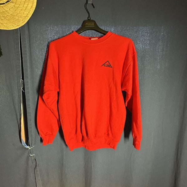 Champion Sweatshirt Red Embroidered Triangle Logo