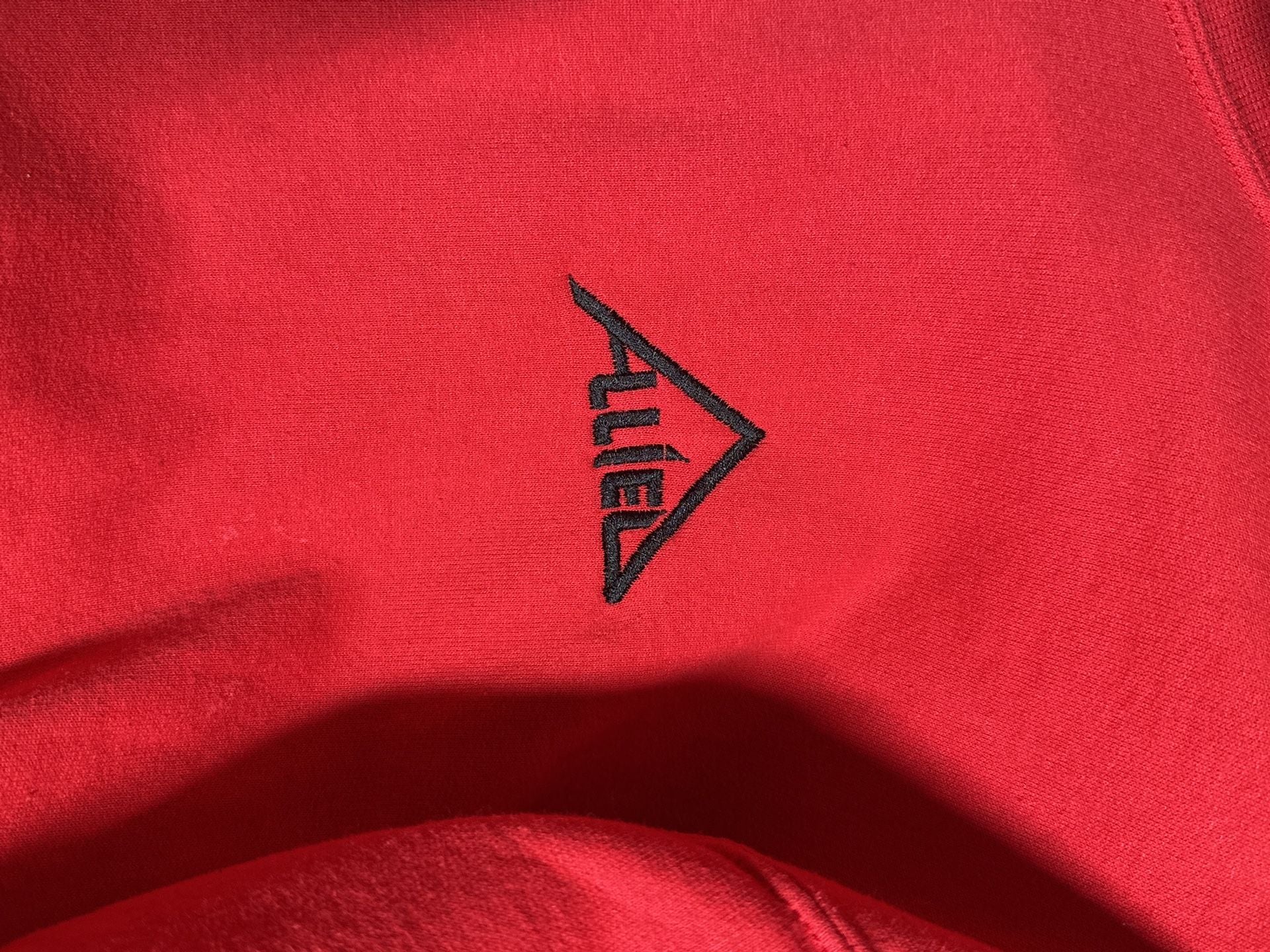 Champion Sweatshirt Red Embroidered Triangle Logo 6