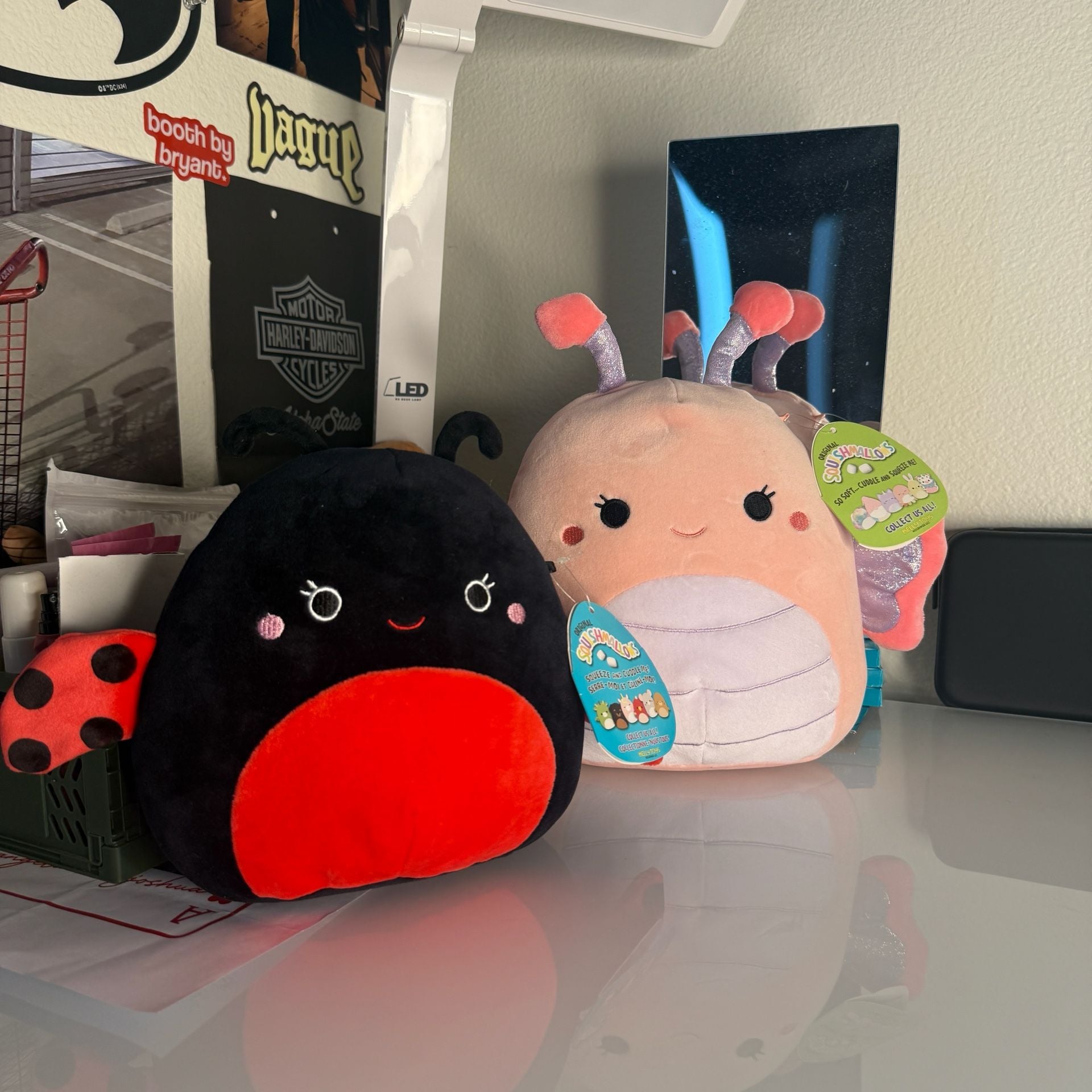 Bundle Squishmallows Maribel The Pink Butterfly Plush Toy and Lady Bug 1