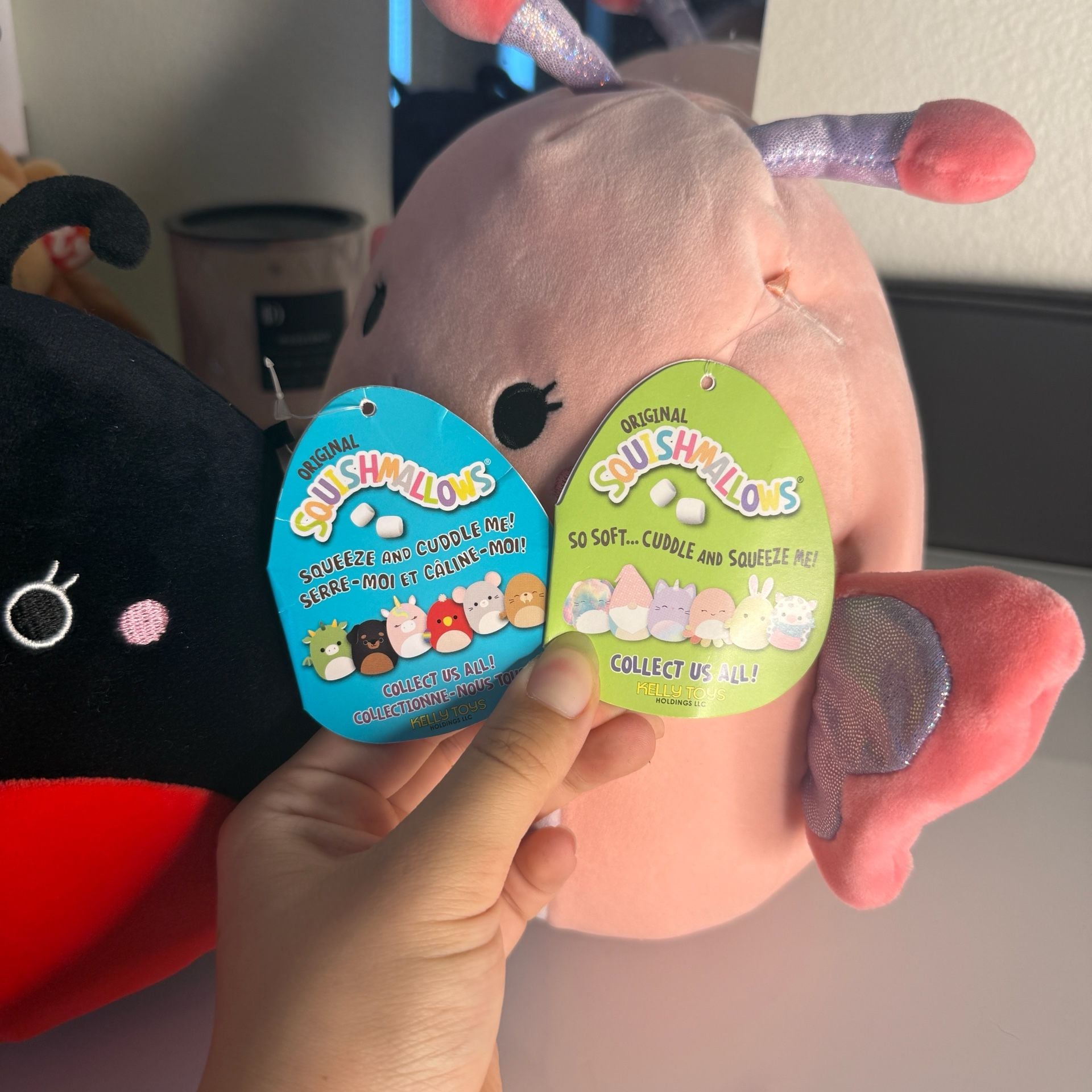 Bundle Squishmallows Maribel The Pink Butterfly Plush Toy and Lady Bug 3