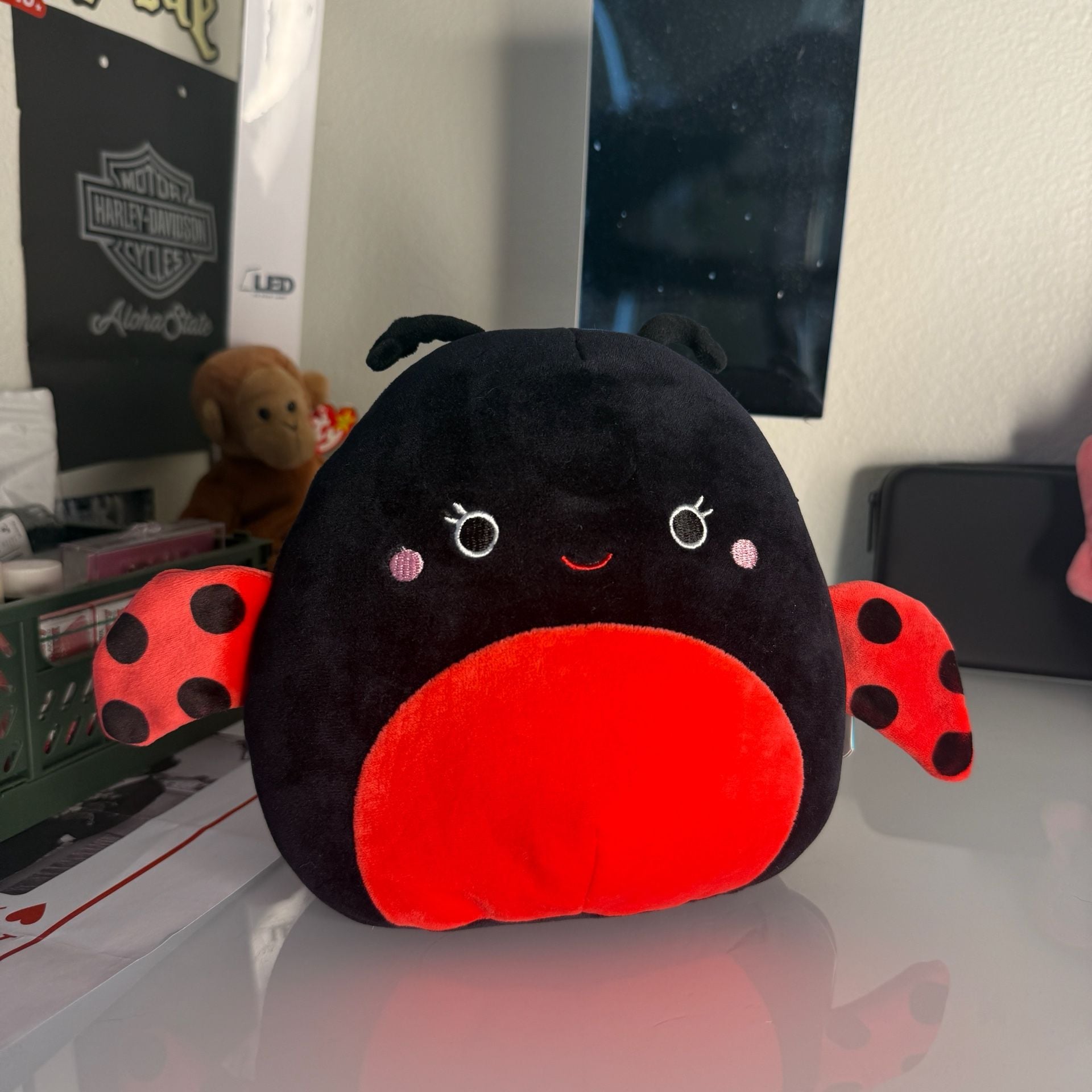 Bundle Squishmallows Maribel The Pink Butterfly Plush Toy and Lady Bug 5