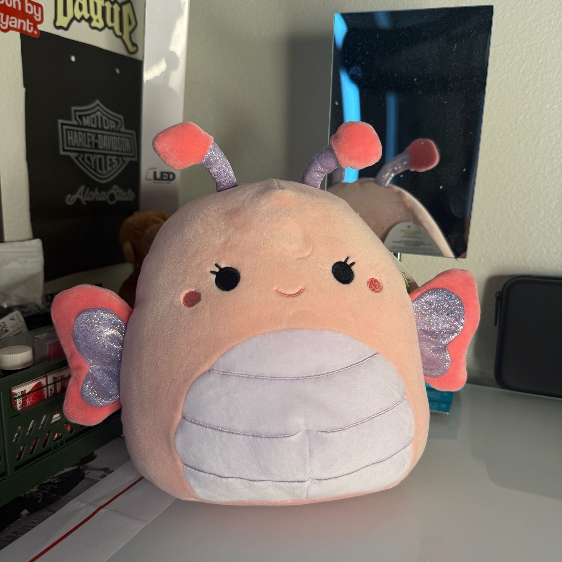 Bundle Squishmallows Maribel The Pink Butterfly Plush Toy and Lady Bug 6