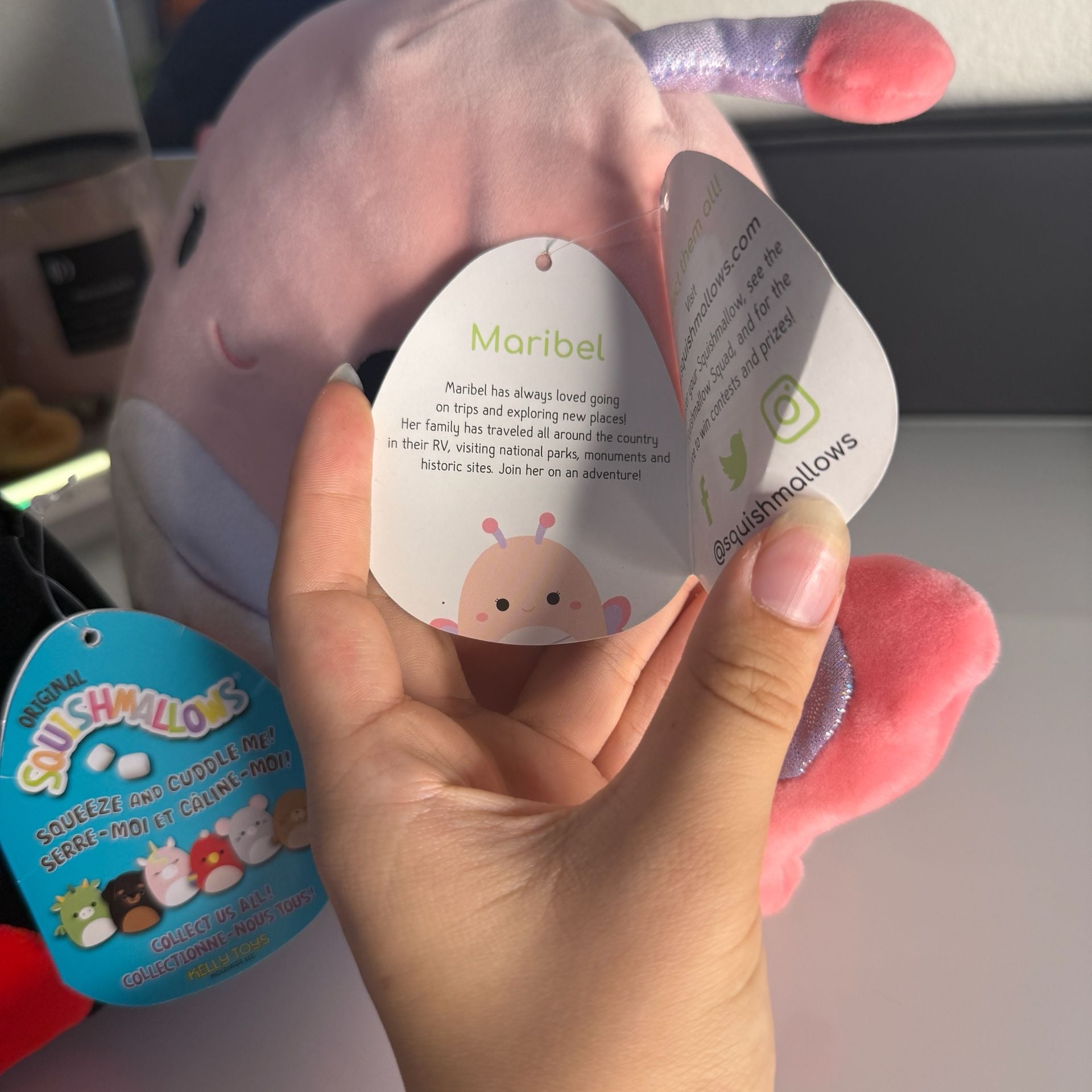 Bundle Squishmallows Maribel The Pink Butterfly Plush Toy and Lady Bug 7