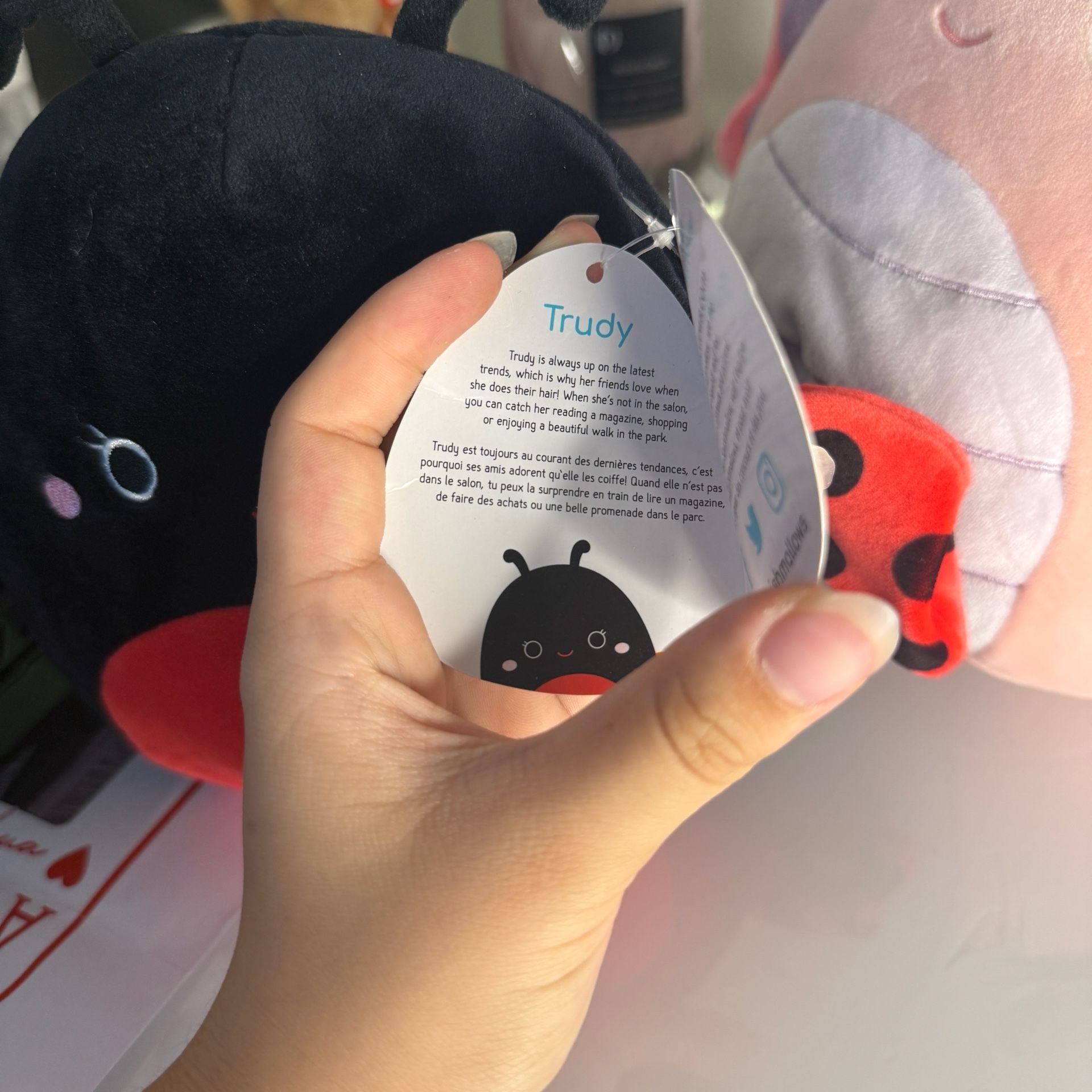 Bundle Squishmallows Maribel The Pink Butterfly Plush Toy and Lady Bug 8