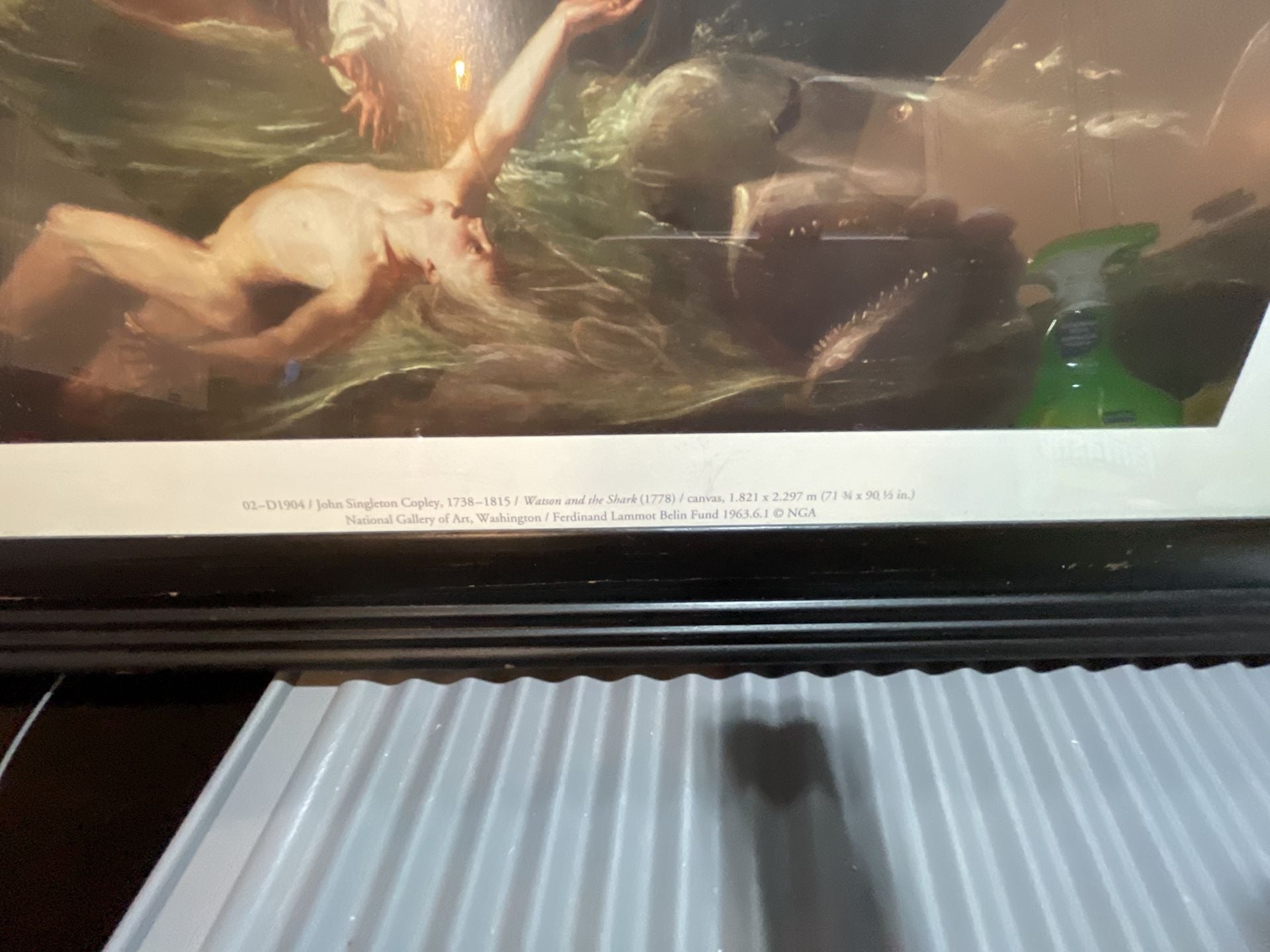 Framed John Singleton Copley Watson and the Shark Art Print 2