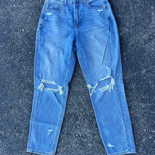American Eagle Distressed Mom Jeans Size 2 Short Blue Denim