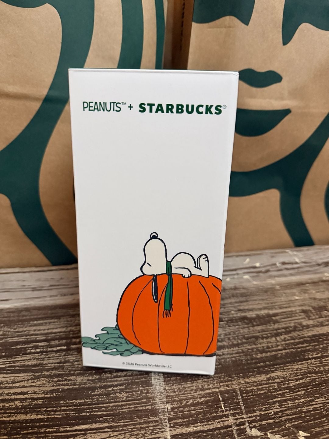 Starbucks Peanuts Snoopy Great Pumpkin Stainless Steel Tumbler 16 oz New 4