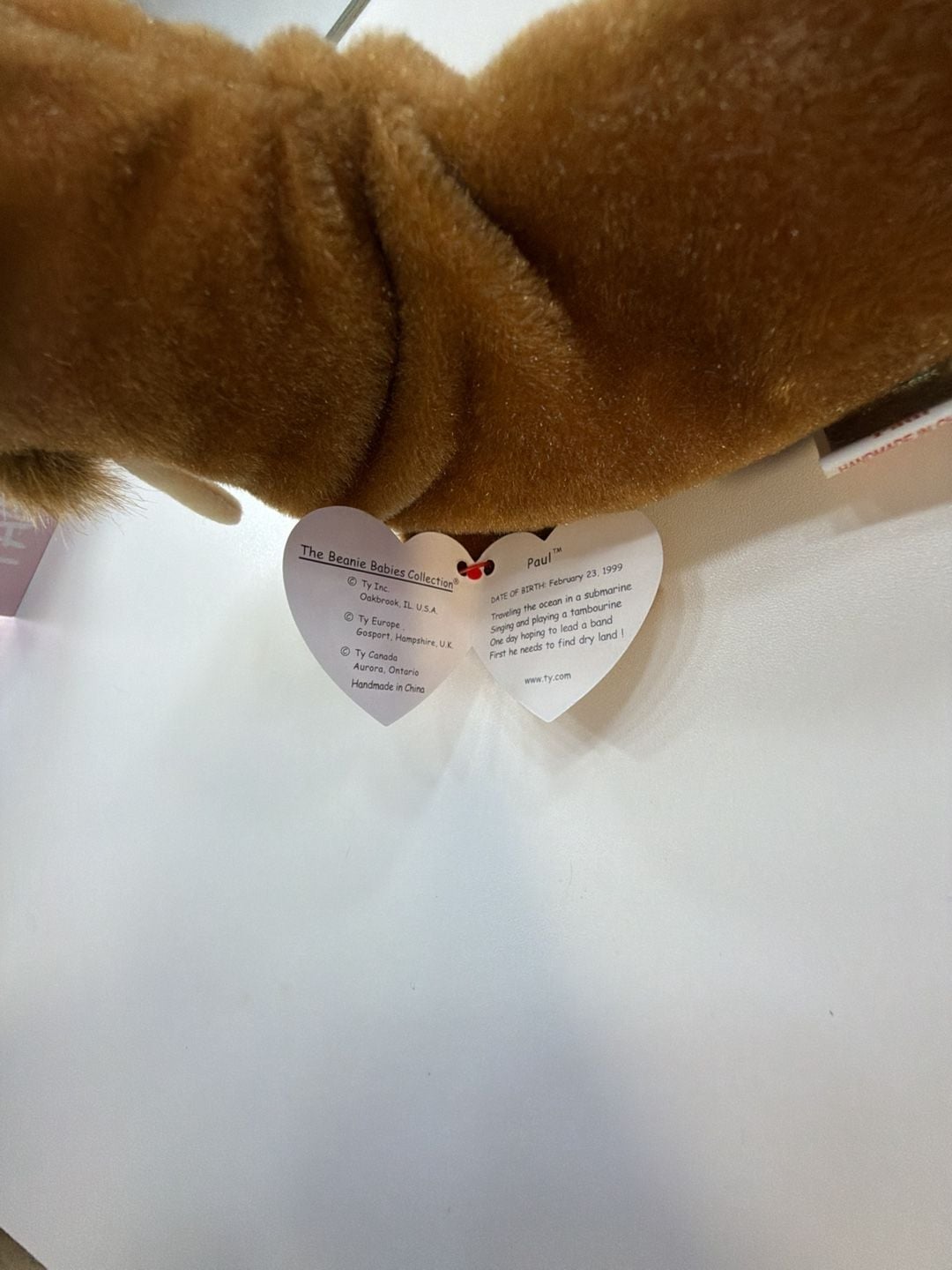 Ty Beanie Babies Paul the Walrus Plush Toy 1999 Mint with Tags 3