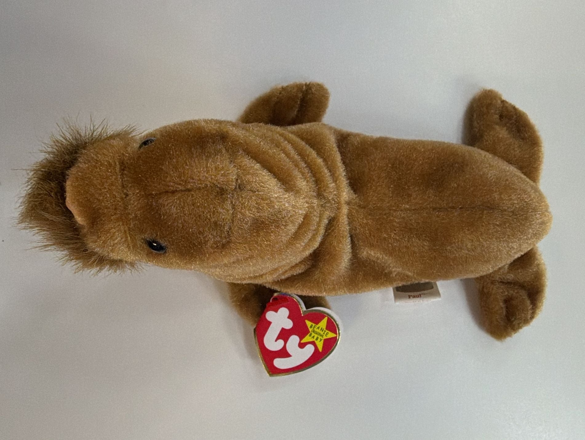 Ty Beanie Babies Paul the Walrus Plush Toy 1999 Mint with Tags 1