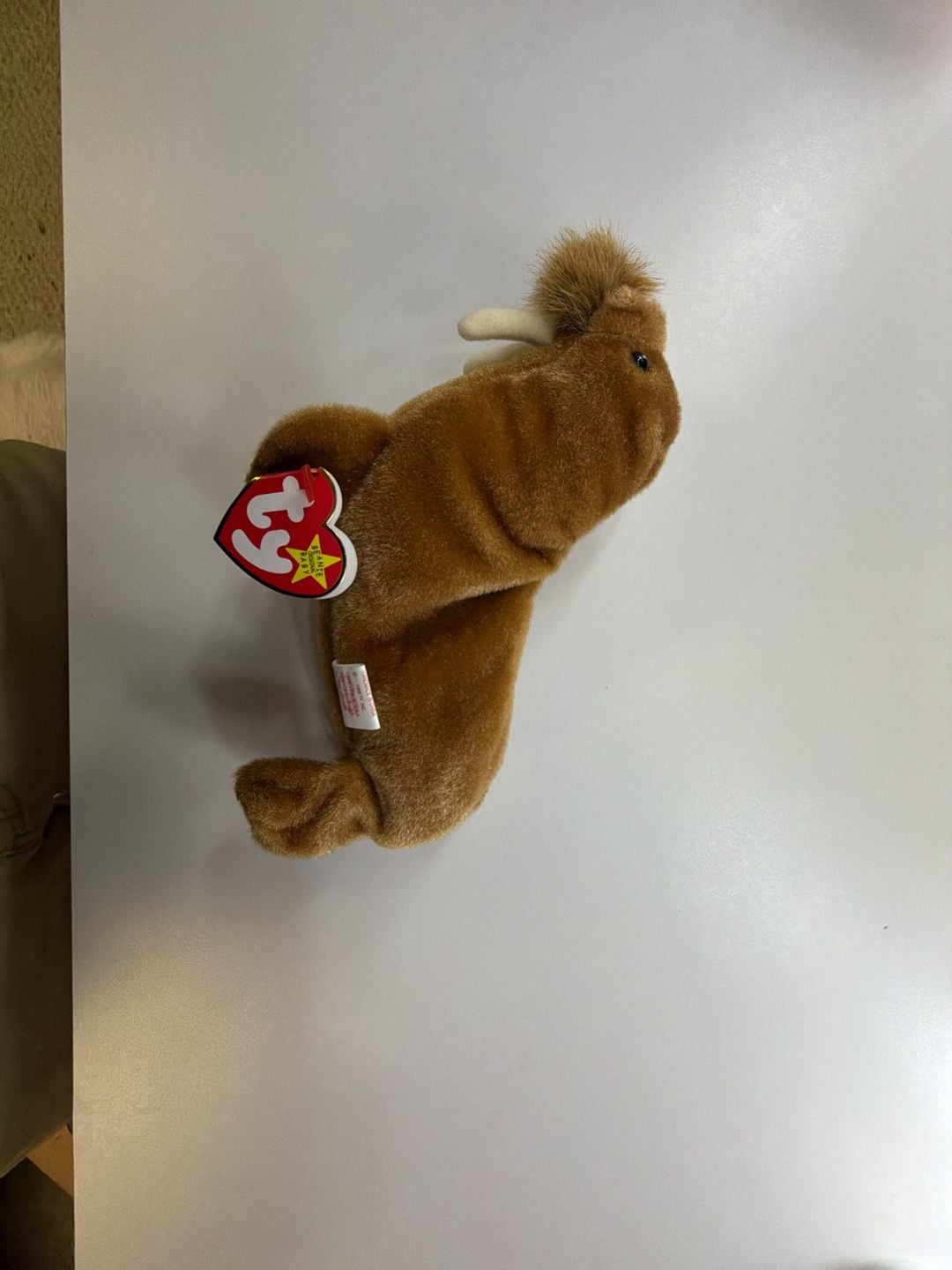 Ty Beanie Babies Paul the Walrus Plush Toy 1999 Mint with Tags 7