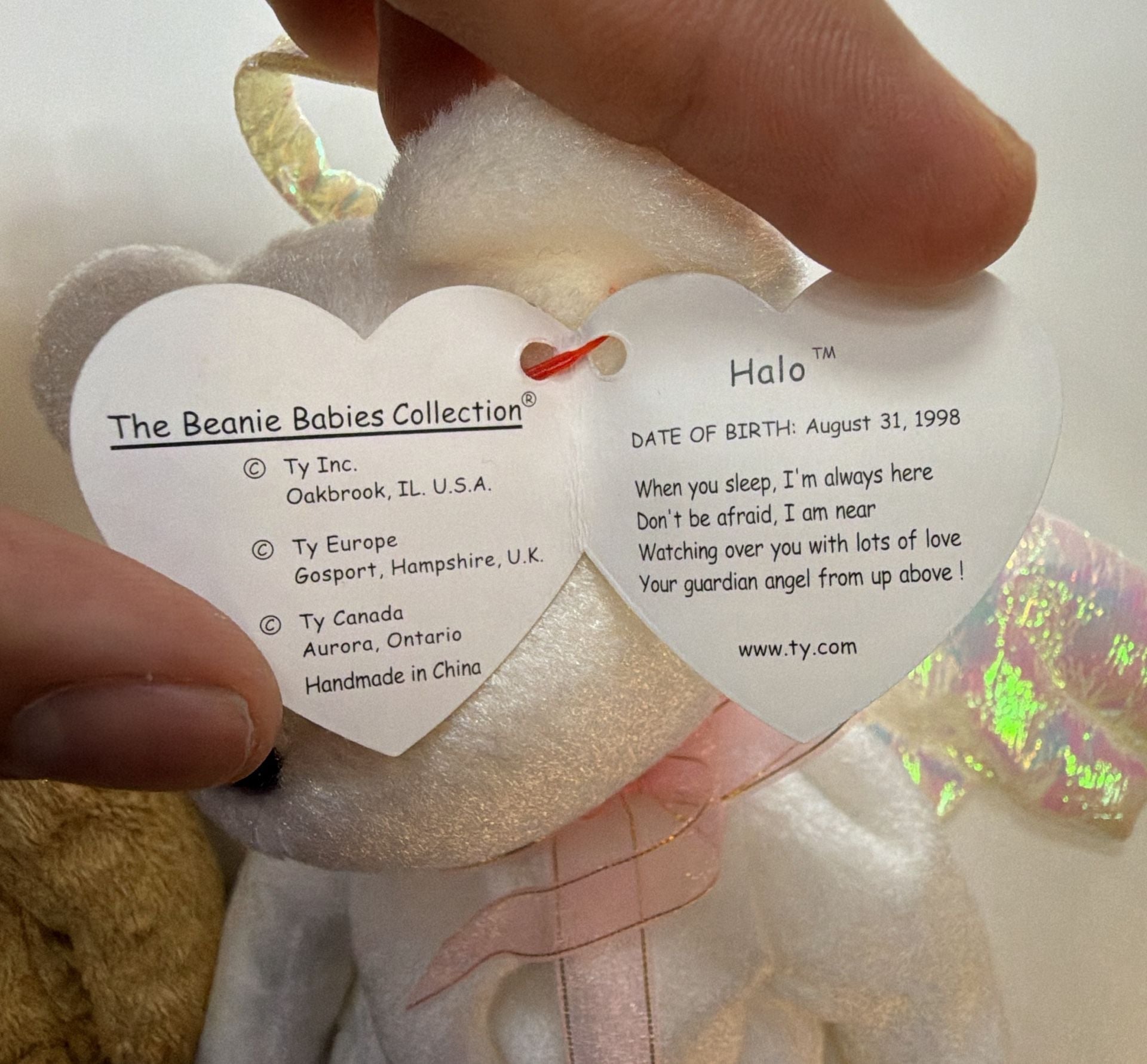 Ty Beanie Babies Lot of 5 Bear Plush Toys Vintage 6