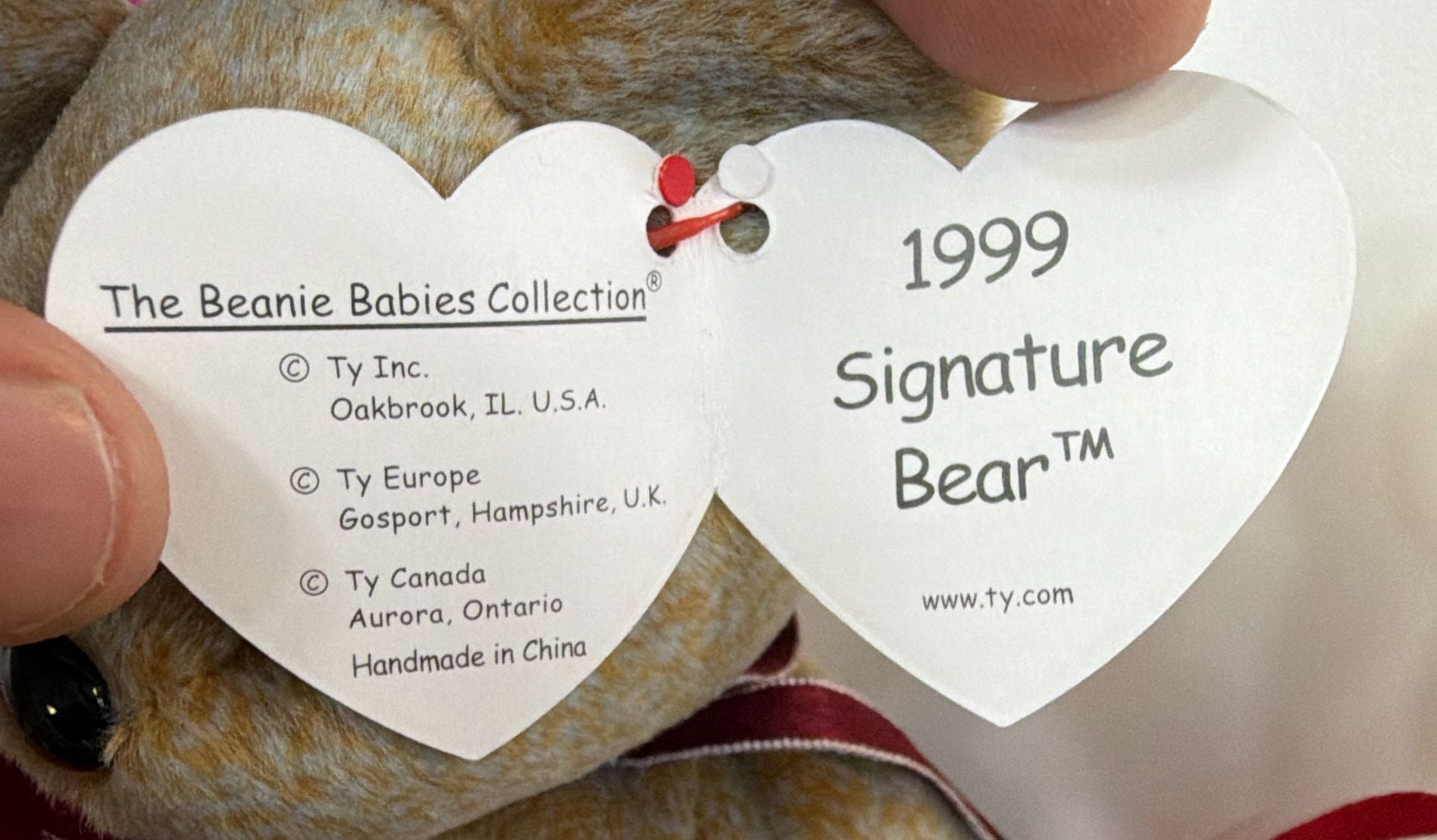 Ty Beanie Babies Lot of 5 Bear Plush Toys Vintage 3