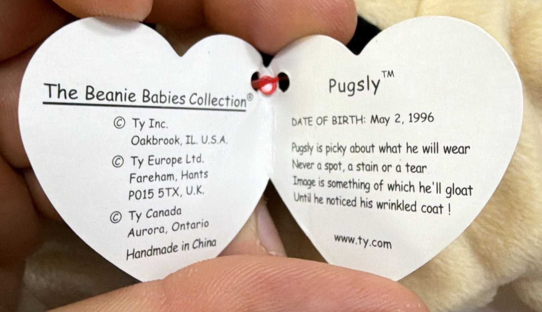 Ty Beanie Babies Dog Spunky Pugsly Bernie Lot of 8 Plush Toys 5