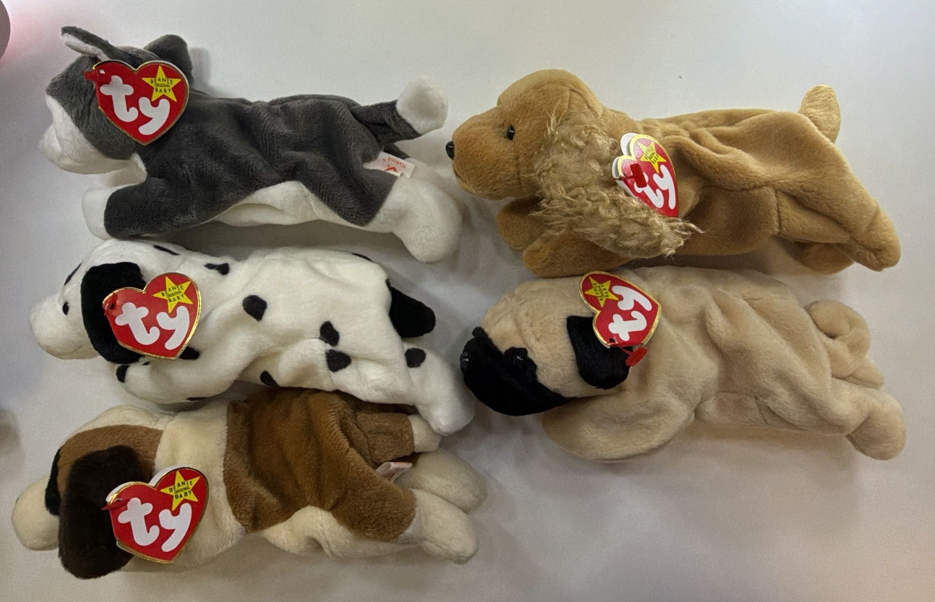 Ty Beanie Babies Dog Spunky Pugsly Bernie Lot of 8 Plush Toys 3