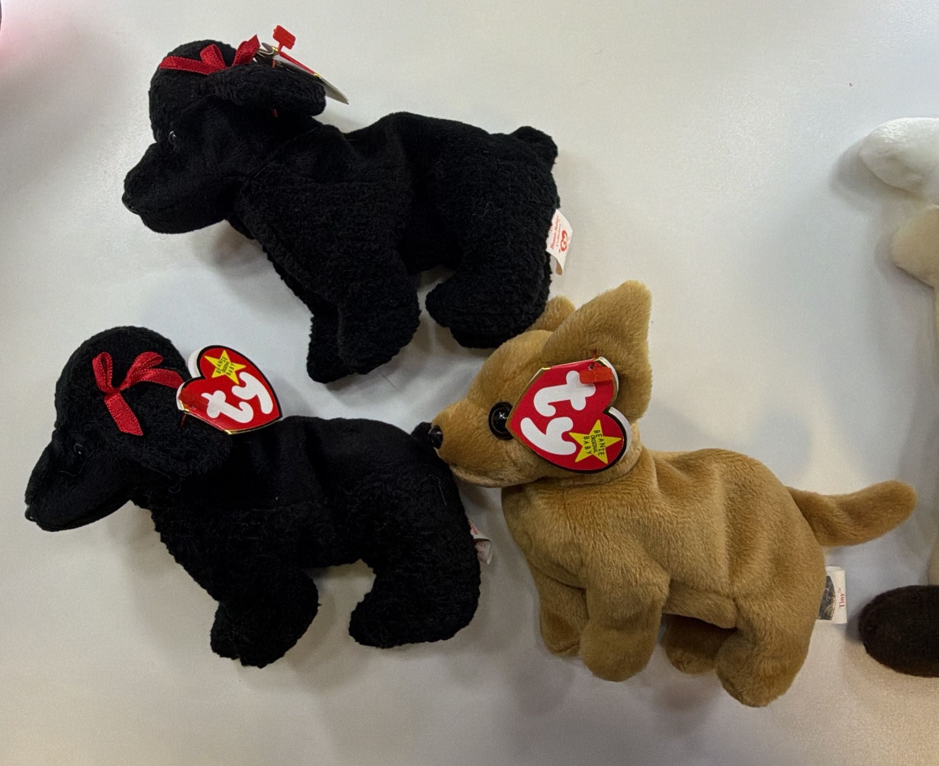 Ty Beanie Babies Dog Spunky Pugsly Bernie Lot of 8 Plush Toys 2