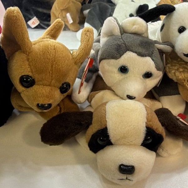 Ty Beanie Babies Dog Spunky Pugsly Bernie Lot of 8 Plush Toys