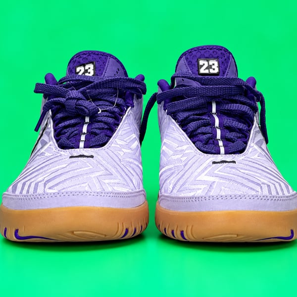 Nike Zoom LeBron NXXT Genisus Size 9 Amethyst Tint Court Purple
