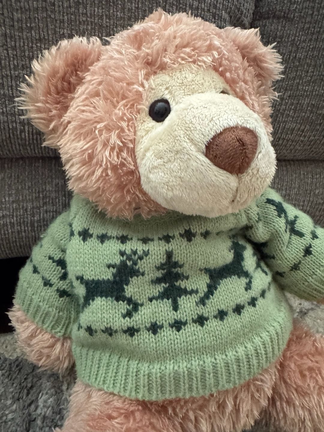 Bloomingdale's Gund Bear Stuffed Animal with Reindeer Sweater 2006 3