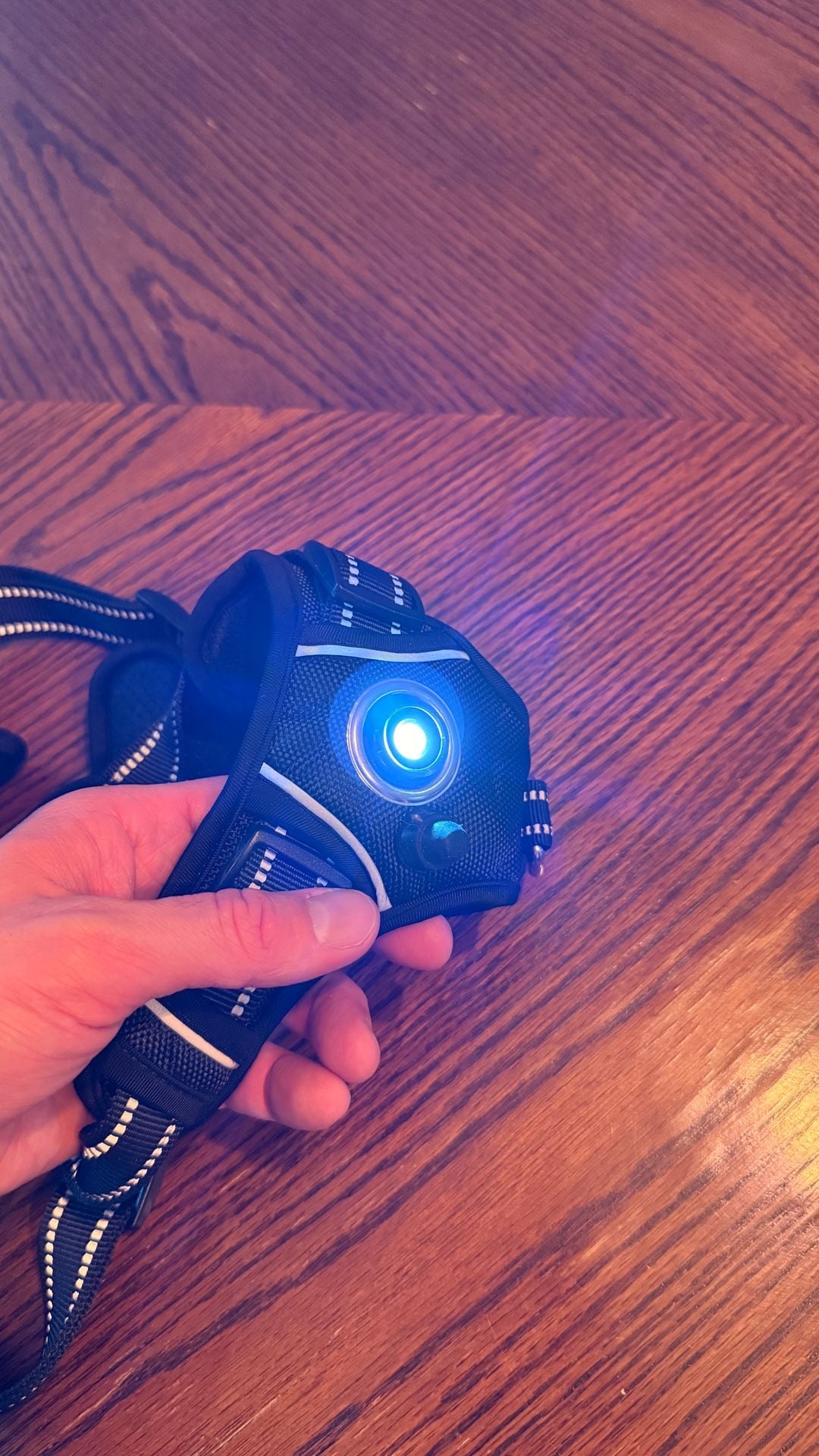 Headlight Harness LED Dog Harness Black Reflective 9