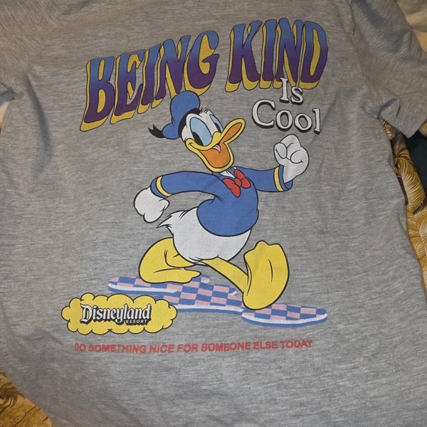 Disney Donald Duck Being Kind Is Cool T-Shirt Size L Gray Graphic Tee