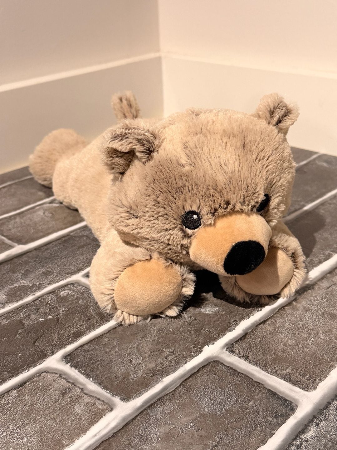 Brown Bear Warmies – , 1