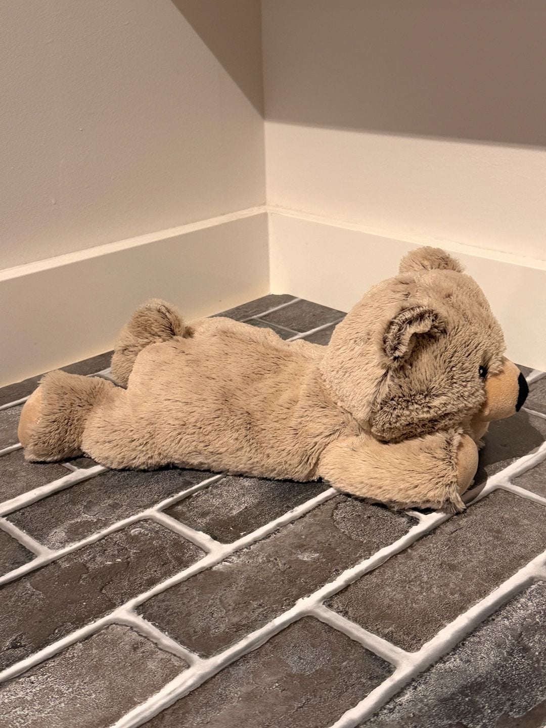 Brown Bear Warmies – , 2