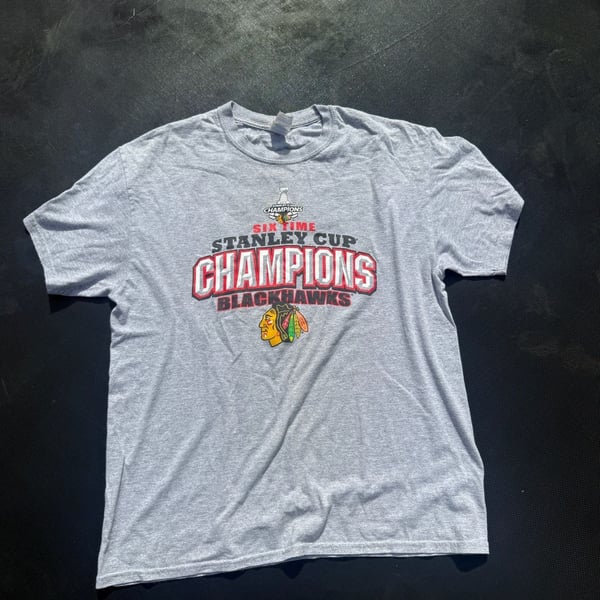 Gildan Chicago Blackhawks Stanley Cup Champions T-Shirt Size L Gray