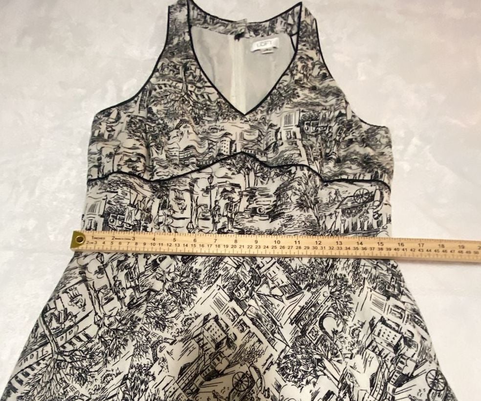 Ann Taylor LOFT Black and White Toile Print Sleeveless Dress Size 12 8