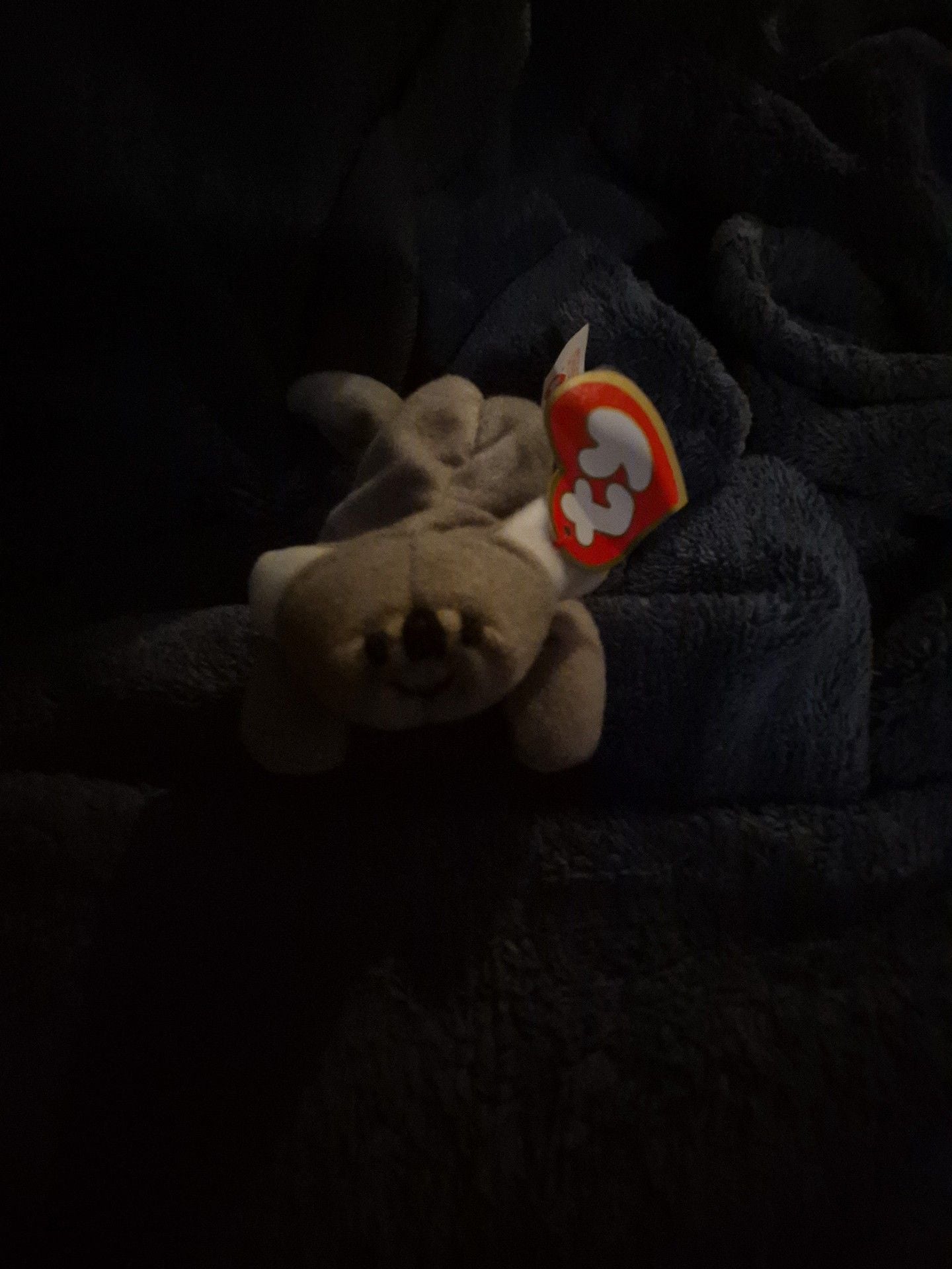 Ty Mel the Koala Beanie Baby Plush Toy 1