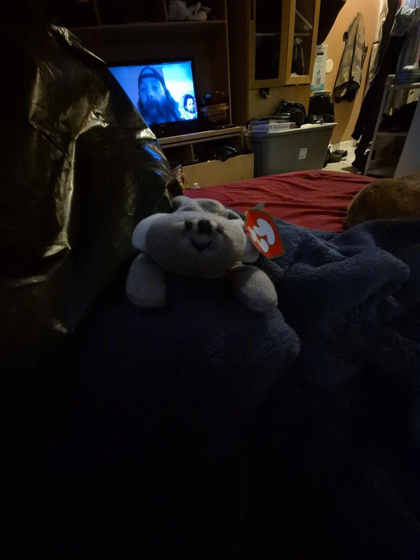 Ty Mel the Koala Beanie Baby Plush Toy 2
